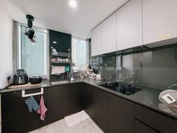 Amber Park (D15), Condominium #561500001